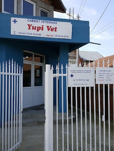 Yupi-Vet - Cabinet Veterinar