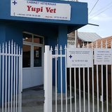 Yupi-Vet - Cabinet Veterinar